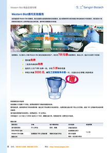 生工生物推出Western Blot服務限時促銷，多重好禮助力科研